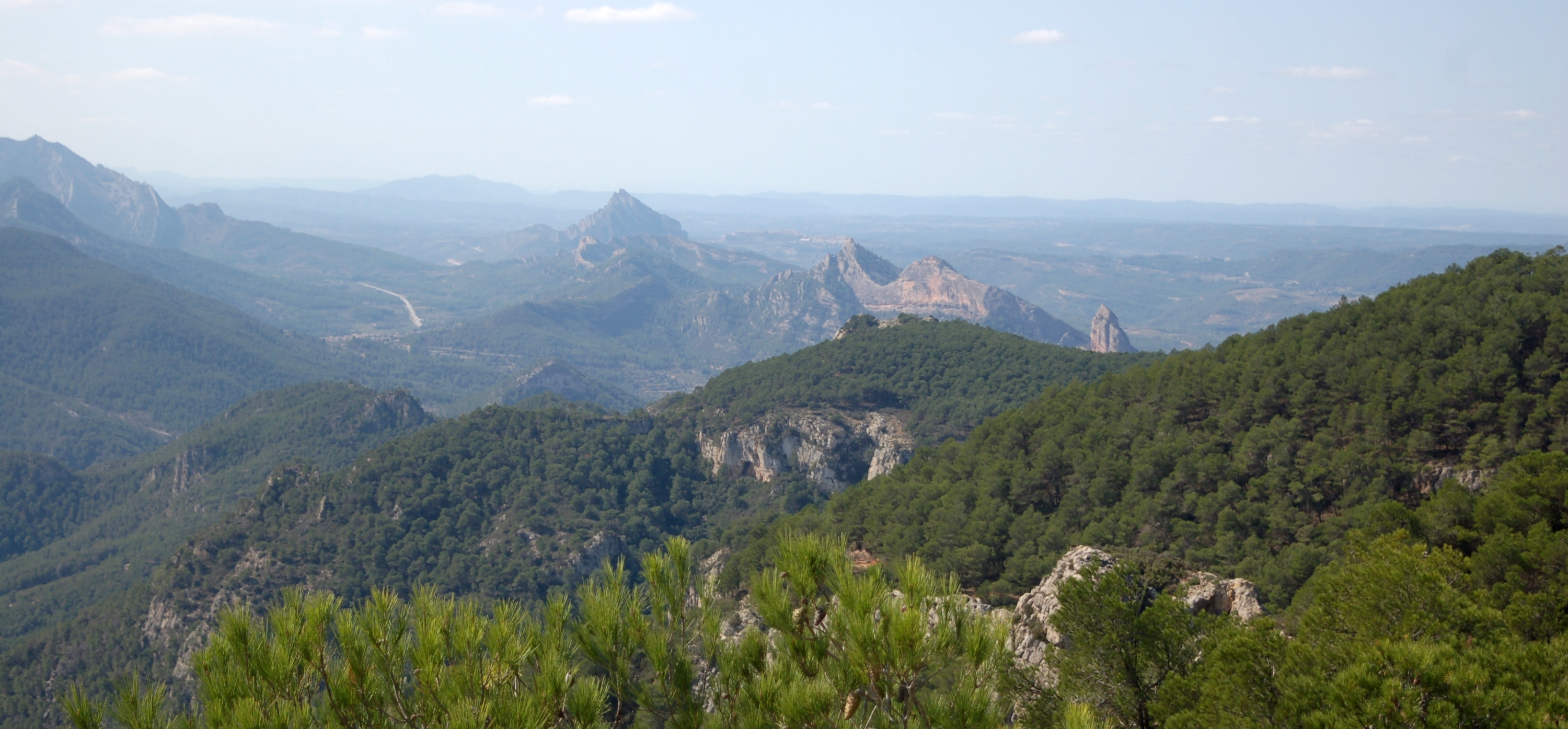 Catalan landscape